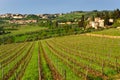 Chianti landscape, Tuscany, Italy Royalty Free Stock Photo