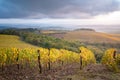 Chianti Region, Tuscany, Italy. Vineyards in autumn Royalty Free Stock Photo