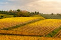 Chianti Region, Tuscany, Italy. Vineyards in autumn Royalty Free Stock Photo
