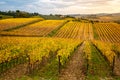 Chianti Region, Tuscany, Italy. Vineyards in autumn Royalty Free Stock Photo