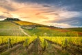 Chianti Region, Tuscany, Italy. Vineyards in autumn Royalty Free Stock Photo