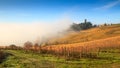 Chianti vineyard landscape in autumn with fog, Passignano