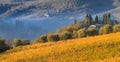 Chianti vineyard landscape in autumn, Tuscany