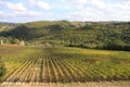 Chianti vineyard landscape with stone house in Tuscany, Italy Royalty Free Stock Photo