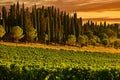 Chianti vineyard Tuscany landscape Italy landmark Royalty Free Stock Photo