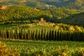 Chianti vineyard Tuscany landscape Italy landmark Royalty Free Stock Photo