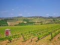 Chianti Wine Road,Tuscany,Italy Royalty Free Stock Photo