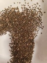 Chiaseed has many benefits for our body& x27;s health