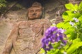 Close-up on the hyaku-shaku kannon buddha of Mount Nokogiri with a purple hydrangeas flower.