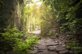 Hiking path between carved walls covered with moss in the stone quarry of Mount Nokogiri. Royalty Free Stock Photo