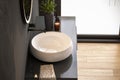 Chic bathroom setup with soap dispensers, towels, plant, black-framed