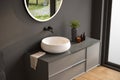 Chic bathroom setup with soap dispensers, towels, plant, black-framed