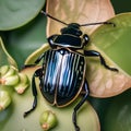 A chic beetle in fashionable accessories, posing for a portrait in a garden setting3