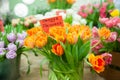 Chic bouquet of orange tulips variety Orange Princess , Hello Spring and Woman day