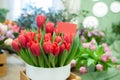 Chic bouquet of red tulips with a sign copyspace, Hello Spring and Woman day