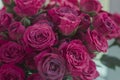 A chic bouquet of small pink roses in a jar on the windowsill. Cute still life