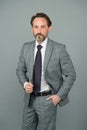 Chic classic. Professional businessman grey background. Fashion look of mature man. Formal fashion style. Formalwear