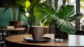 chic coffee palm leaf Royalty Free Stock Photo