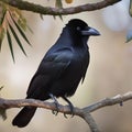 A chic crow in fashionable feathers, posing for a portrait on a tree branch3