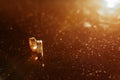 chic gold rings close-up on the table of the newlyweds