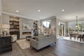 Chic living room interior in gray colors