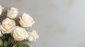 Chic Neutrality: White Roses on Chalk Background with Ample White Space Royalty Free Stock Photo