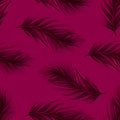 A chic pattern of feathers on a magenta background.mystical theme Royalty Free Stock Photo