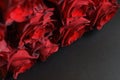 chic rich dark red bouquet of rose flower macro Royalty Free Stock Photo