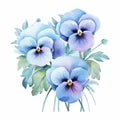 Chic Watercolor Pansy Arrangement In Blue Hues Royalty Free Stock Photo