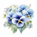 Chic Watercolor Pansy Arrangement On White Background Royalty Free Stock Photo