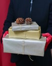 Chic young woman Woman holding gifts