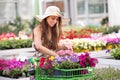 Chic young woman shopping in a flower nursery