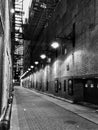 Chicago alley in Black and White Royalty Free Stock Photo