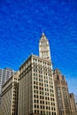 Chicago Architecture, Wrigley Building and Tribune Tower, USA Royalty Free Stock Photo