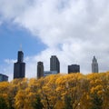 Chicago in autumn Royalty Free Stock Photo