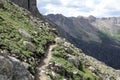 Chicago Basin Mountain Goats descending Royalty Free Stock Photo