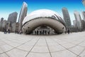 Chicago Bean Art Installation