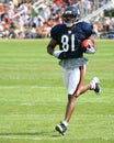 Chicago Bears, Rashied Davis