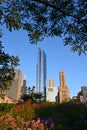 Chicago buildings framed by trees and flowers. Royalty Free Stock Photo