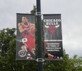 Chicago Bulls Banner with Derrick Rose