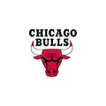 Chicago bulls logo editorial illustrative on white background