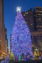 Chicago Christmas Tree, 2021