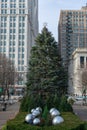 Chicago Christmas Tree at Millennium Park along Michigan Avenue in Chicago Royalty Free Stock Photo