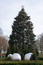 Chicago Christmas Tree at Millennium Park along Michigan Avenue in Chicago