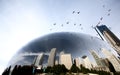Chicago Cityscape The Bean Royalty Free Stock Photo
