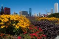 Chicago cityscape on a bright sunny day