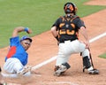 Chicago Cubs Marion Byrd slides into home plate for the go ahead