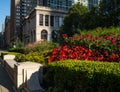 Chicago Cultural Center Royalty Free Stock Photo