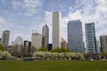 Chicago from Grant Park Royalty Free Stock Photo