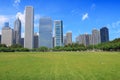 Chicago Grant Park skyline Royalty Free Stock Photo